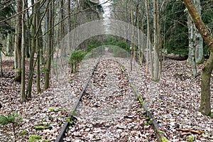 Defunct train track - tracks overgrown and covered with leaves