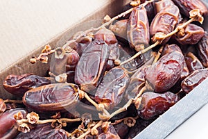 Deglet Nour or Kurma