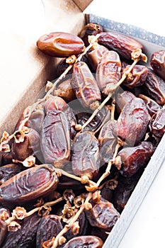 Deglet Nour or Kurma