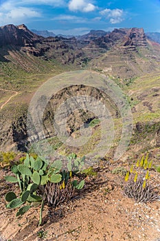 Degollada de las Yeguas Viewpoint - Gran Canaria photo