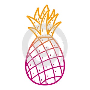 Degraded line delicious pineapple fresh fruit nutrition