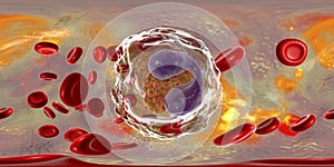 360-degree spherical panorama of eosinophil, a white blood cell in blood photo