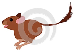 Degu squirrel rodent pet. Vector cartoon illustration