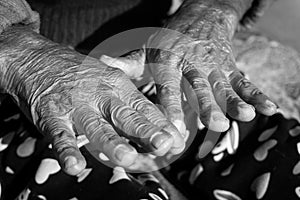 Dehradun, Uttarakhand, India. A closeup shot of wrinkled hands of an old India woman in black and white photo