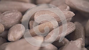 Pile of shelled raw sunflower seeds macro shot