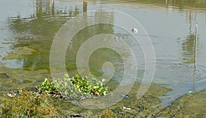 Dehydrate canal on dry season in Thailand