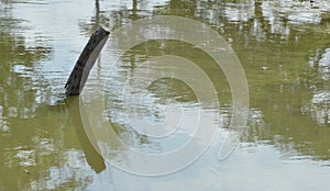 Dehydrate canal on dry season in Thailand