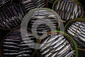 dehydrate fishes for reservation