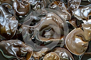 Dehydrated black fungus soaked in water