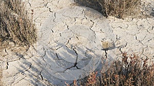 Dehydrated dry soil in the desert