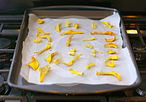 Dehydrated homemade pumpkin dog treats in the pan.