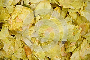 Dehydrated Hops