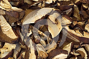 Dehydrated slices of mushrooms