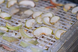 Dehydrating sheets with pieces of apples