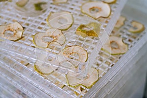Dehydrating sheets with pieces of apples
