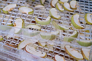 Dehydrating sheets with pieces of apples. Vegetarian apple chips in food dryer. Slices apples. Healthy and nutrition concept.