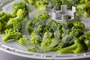 Dehydrating tray filled with broccoli ready to dry for food preservation