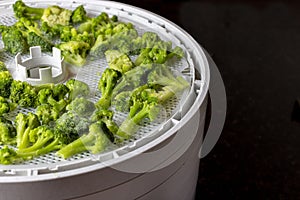 Dehydrating tray filled with broccoli ready to dry for food preservation