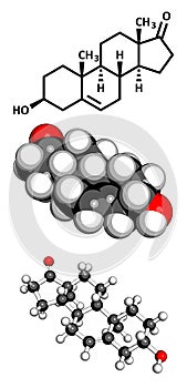 Dehydroepiandrosterone (DHEA, prasterone) steroid molecule photo