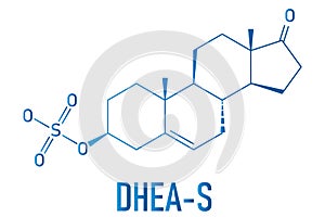 Dehydroepiandrosterone sulfate or DHEA-S natural hormone molecule. Skeletal formula. photo
