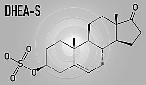 Dehydroepiandrosterone sulfate or DHEA-S natural hormone molecule. Skeletal formula. photo