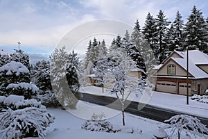 Deiced Street in Upscale Residential Neighborhood in Winter