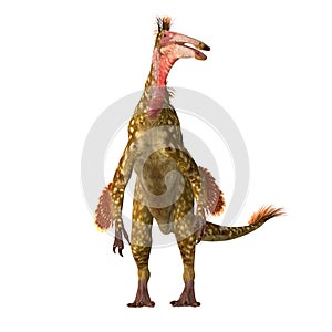 Deinocheirus Dinosaur on White