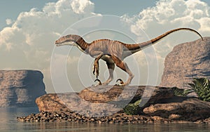 Deinonychus by a lake