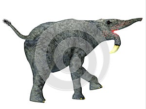 Deinotherium Mammal Tail