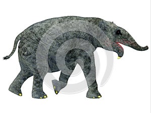 Deinotherium Young Mammal