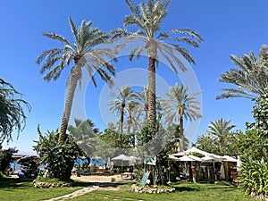 Dekel beach in Eilat
