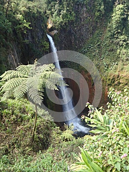 Del Toro Waterfall, Costa Rica