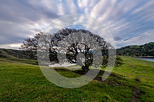 Del Valle Regional Park at Sunrise