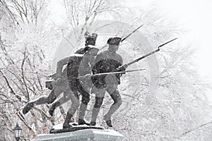 Delaware Bronze Patriots in Snow