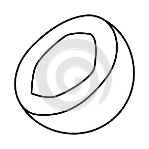 Delcious fresh fruit cartoon