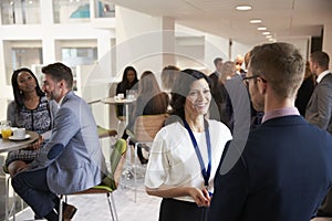 Delegates Networking During Coffee Break At Conference