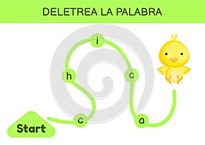 Deletrea la palabra - Spell the word. Maze for kids. Spelling word game template. Learn to read word chicken. Activity page for photo