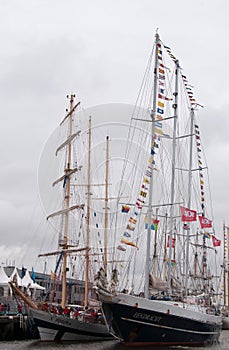 Delfsail