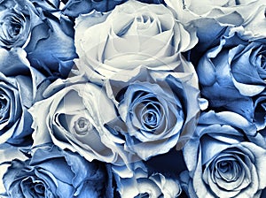 Delft Blue wedding bouquet