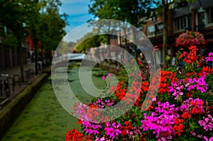 Delft, the netherlands, august 2019. The pretty and romantic canals, smaller than in Amsterdam. The aquatic plants create a green