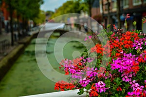 Delft, the netherlands, august 2019. The pretty and romantic canals, smaller than in Amsterdam. The aquatic plants create a green