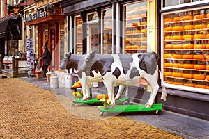 Delft, Netherlands Dutch cheese shop and cow figurines
