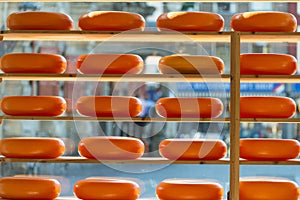 Gouda Cheese in a shop in Delft Netherlands