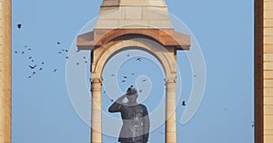 Delhi, India. Birds flying around of Statue of Subhas Chandra Bose. Netaji& x27;s Statue, is a monolithic statue made of photo