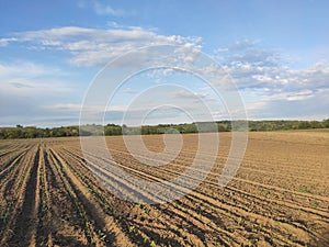 Deliblato Serbia fertile cropland panoramic view