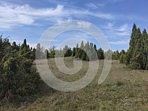 Deliblato Serbia sandy terrain scarce vegetation landscape