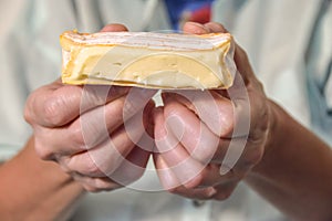 Delicacy soft brie camembert cheese with an orange crust