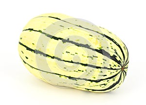 Delicata squash