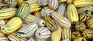 Delicata squash is a variety of winter squash with cream-coloured cylindrical fruits striped