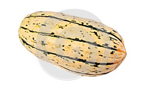 Delicata winter squash isolated over white background